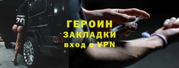 индика Вяземский