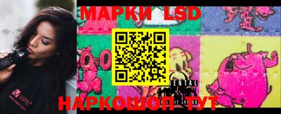 эйфоретик Кингисепп