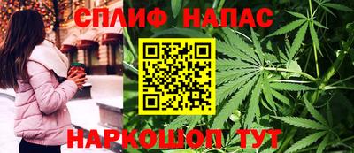 гидра Кимры