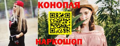 эйфоретик Кингисепп