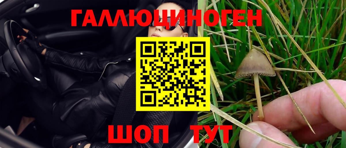 Реутов  Галлюциногенные грибы GOLDEN TEACHER  Вход с VPN 