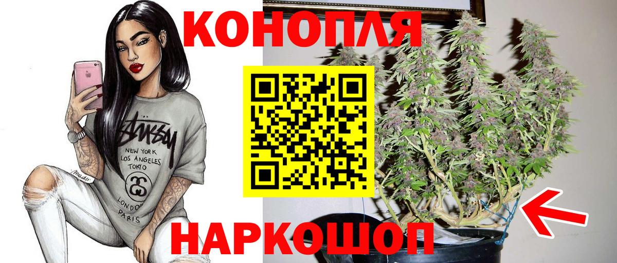 Каннабис конопля Реутов